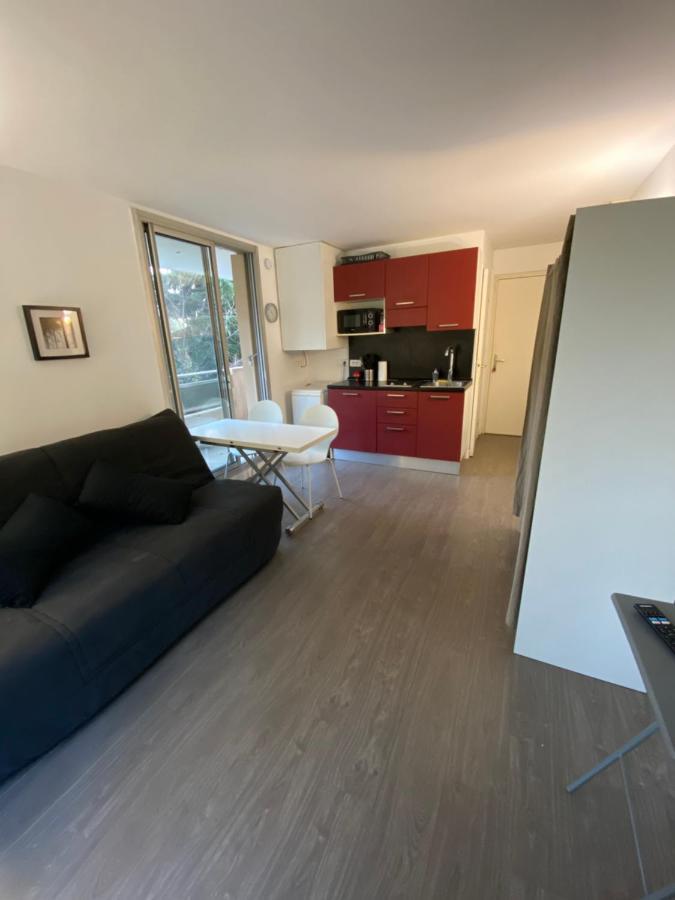 Studio Avec Terrasse, Vue Sur Jardin Apartment Ница Екстериор снимка
